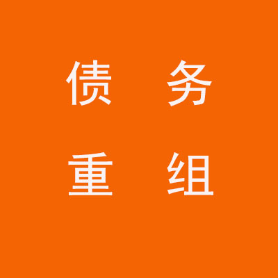 河口个人债务重组优化